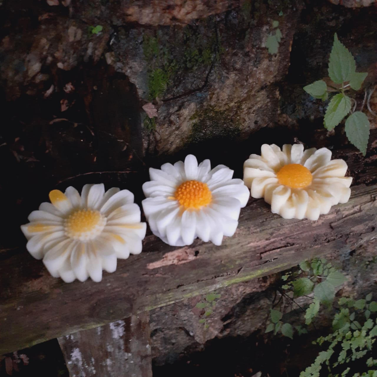 Flores