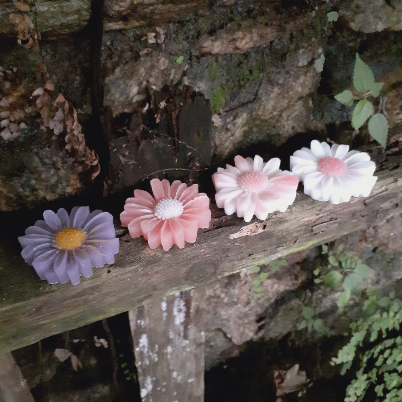 Flores