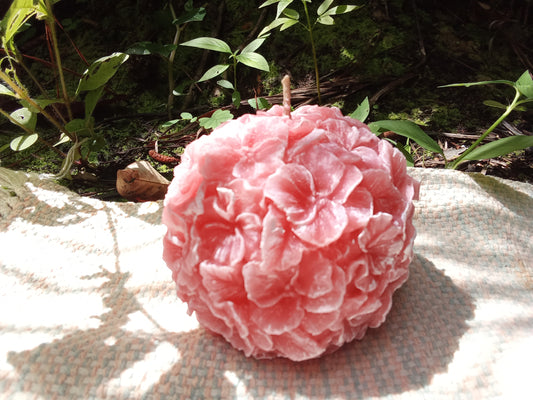 Pelota de Violetas